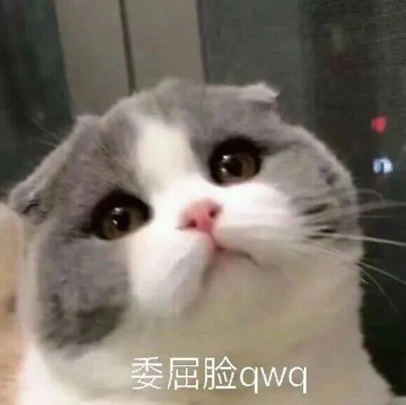 DƬ